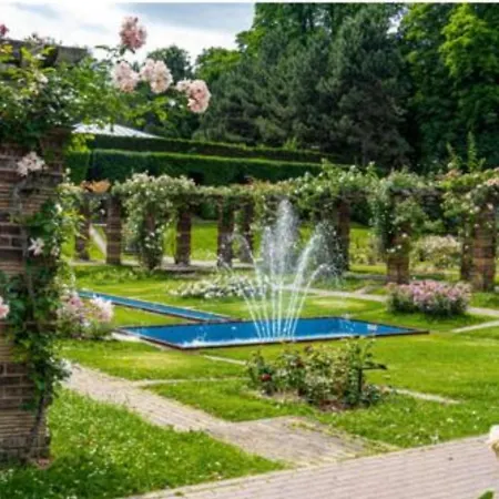 Rose Garden Wonderful